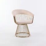 Apple Chair