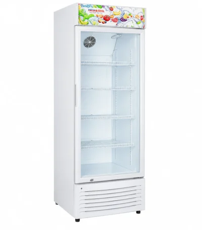 Display Fridge