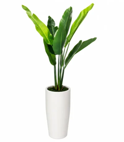 Banana Leaf Planter