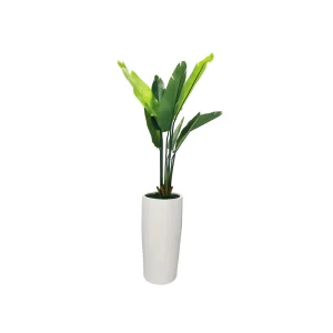 Banana Leaf Planter