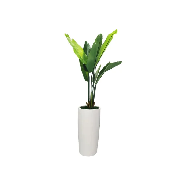 Banana Leaf Planter