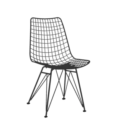Eames Wire Chair