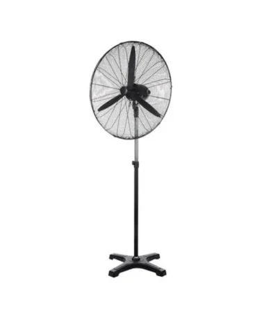 Pedestal Fan