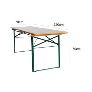 Picnic Table Big
