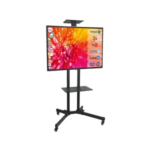 TV and Stand