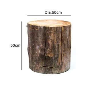 Wooden Log