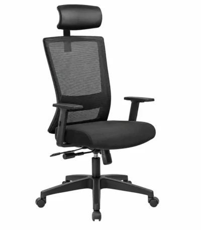 Fortis Chair